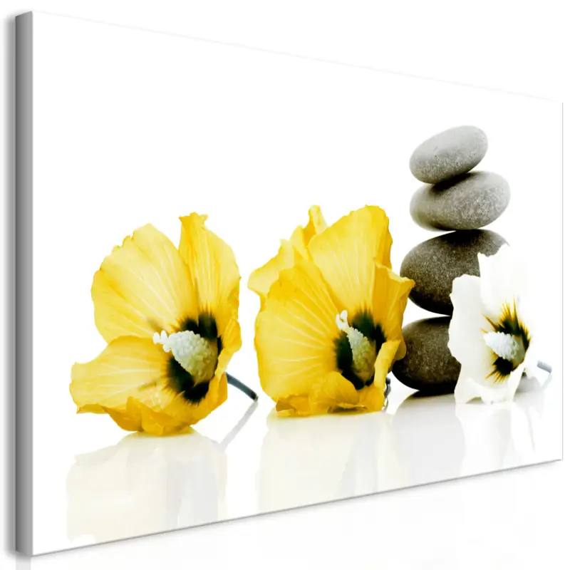 Vente Flash Schilderij - Calm Mallow (1 Part) Yellow - 70x35
