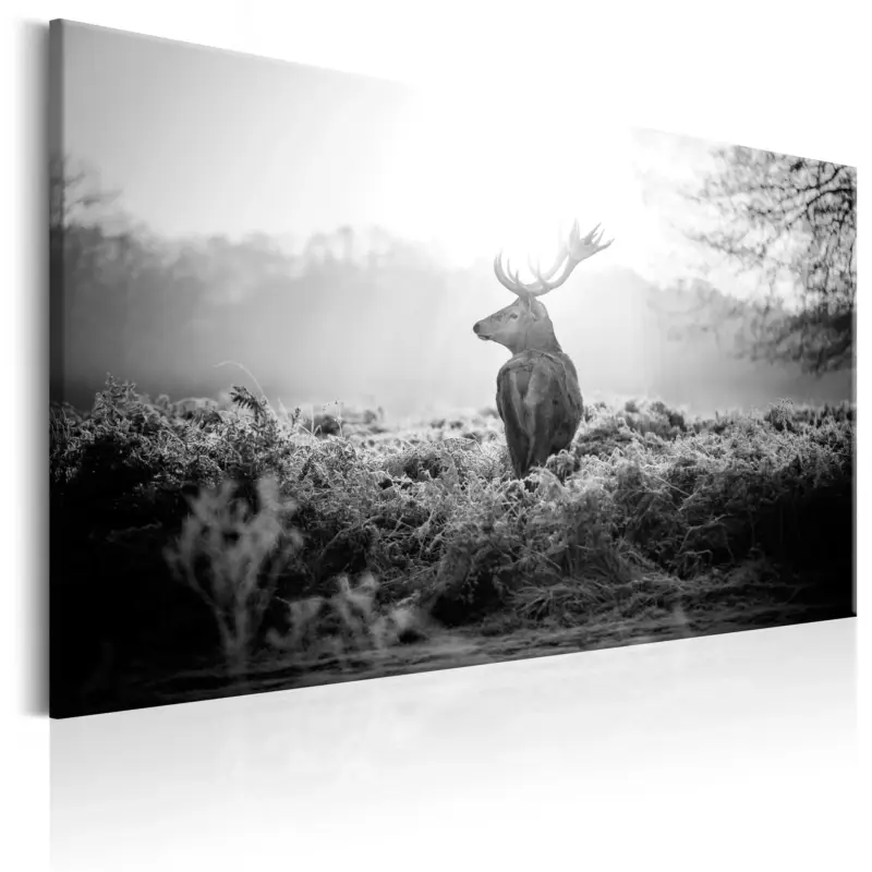 Vente Flash Schilderij - Black and White Deer - 90x60