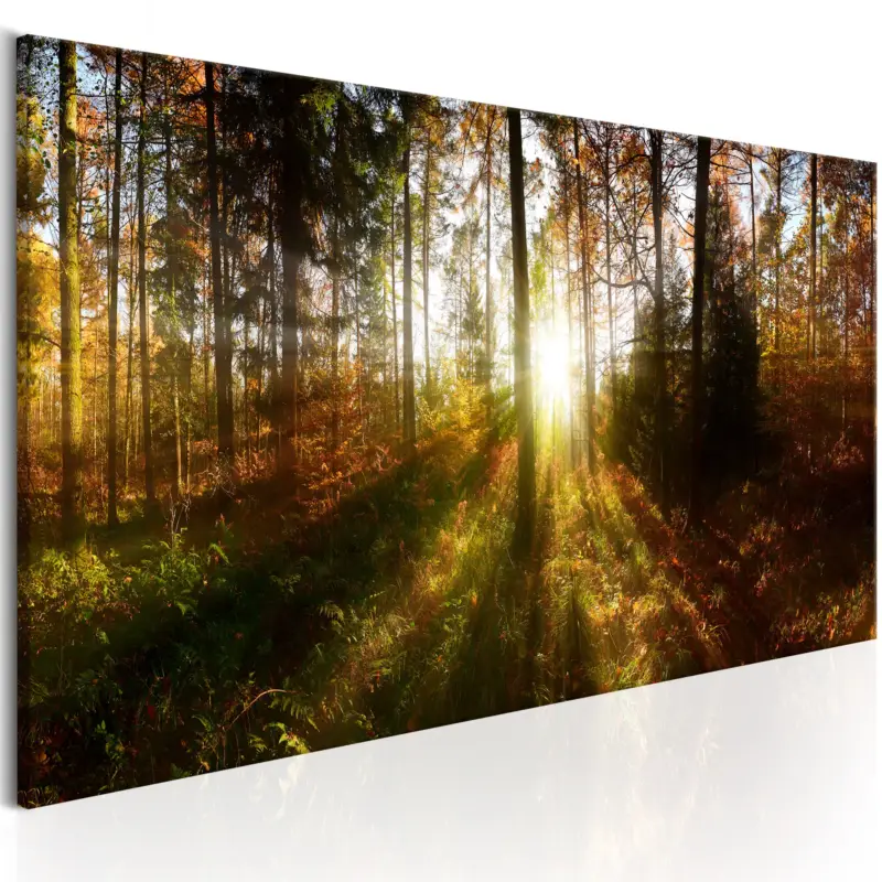 Solde Schilderij - Beautiful Forest - 135x45