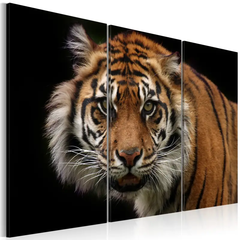 Certifié Schilderij - A wild tiger - 90x60