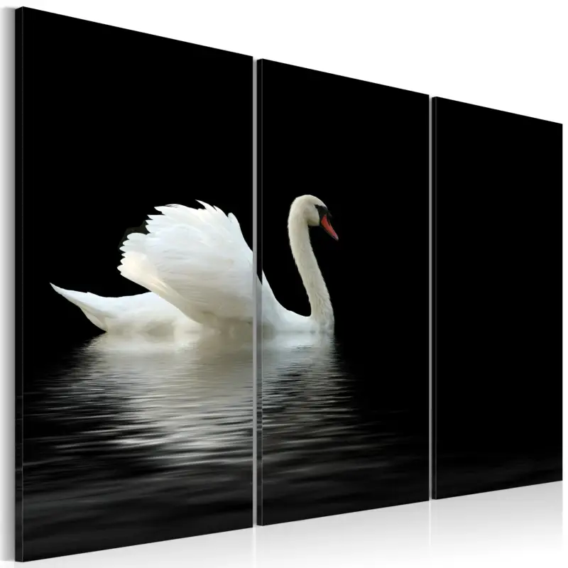 Achat Immédiat Schilderij - A lonely white swan - 120x80