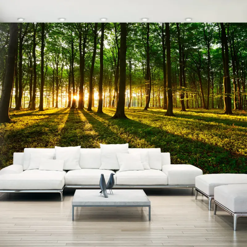 Prix Choc Fotobehang XXL - Mystical Morning II - 500x280