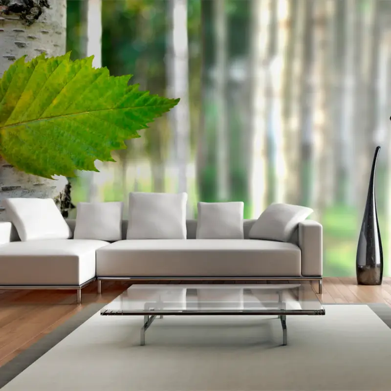 Commander Vite Fotobehang XXL - Berkenblad - 550x270