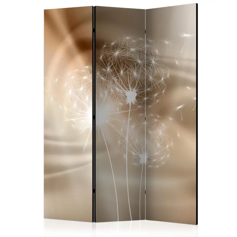 Livraison Express Kamerscherm - Solar Illusion [Room Dividers] - 135x172