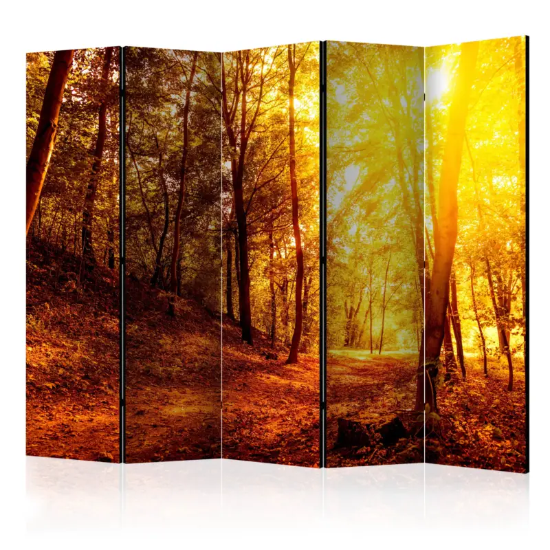 Satisfait Ou Remboursé Kamerscherm - Autumn Walk II [Room Dividers] - 225x172