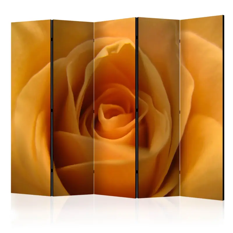 Marque Kamerscherm - Yellow rose  a symbol of friendship II [Room Dividers] - 225x172