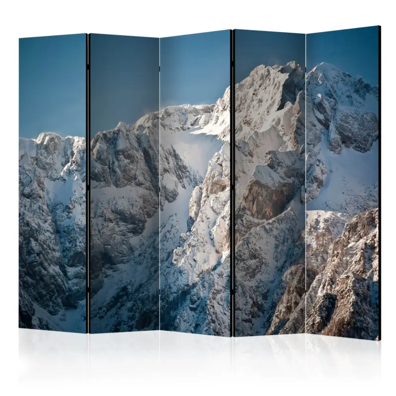 Livraison Express Kamerscherm - Winter in the Alps II [Room Dividers] - 225x172
