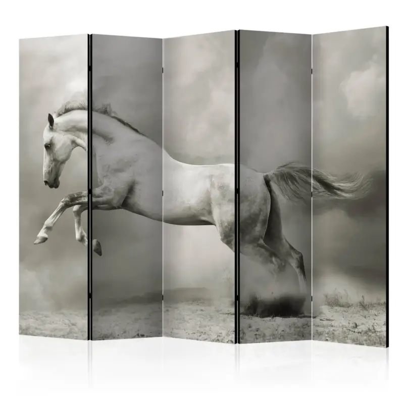 Kamerscherm - Wild Stallion II [Room Dividers] - 225x172 Acheter Direct