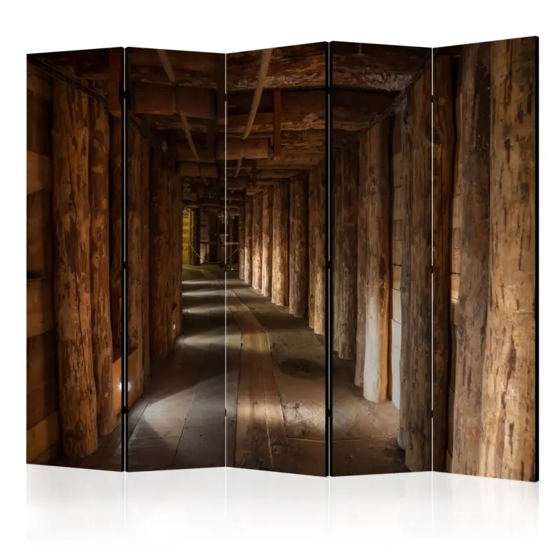 Kamerscherm - Wieliczka II [Room Dividers] - 225x172 Prix Bas