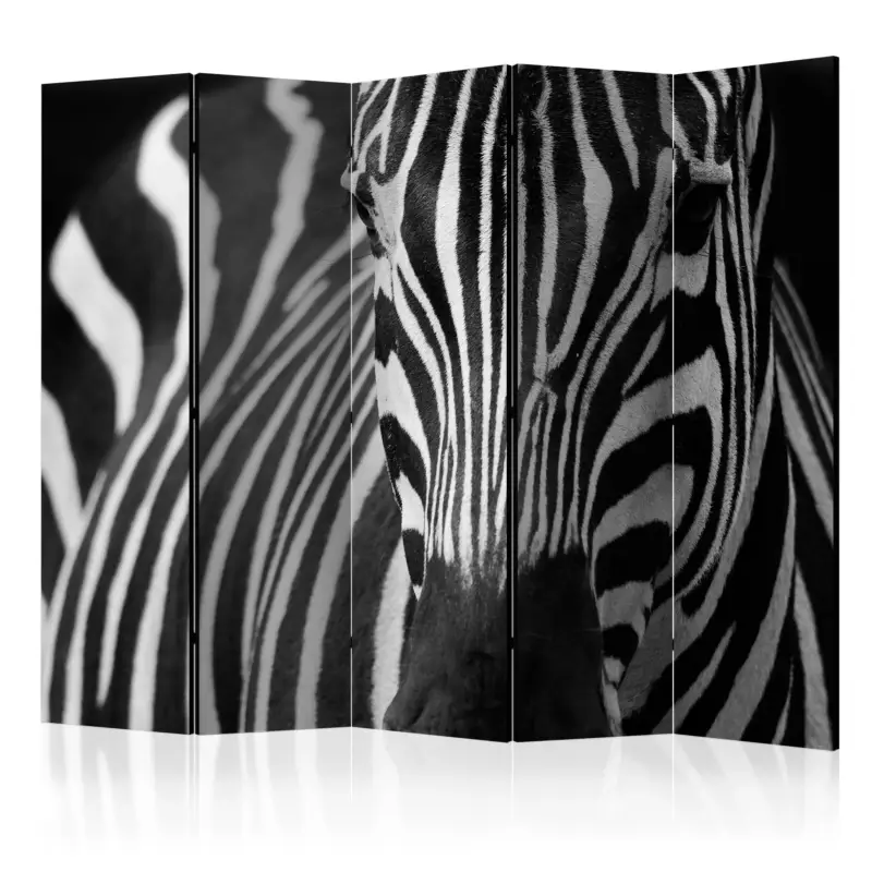 Offre Exclusive Kamerscherm - White with black stripes II [Room Dividers] - 225x172