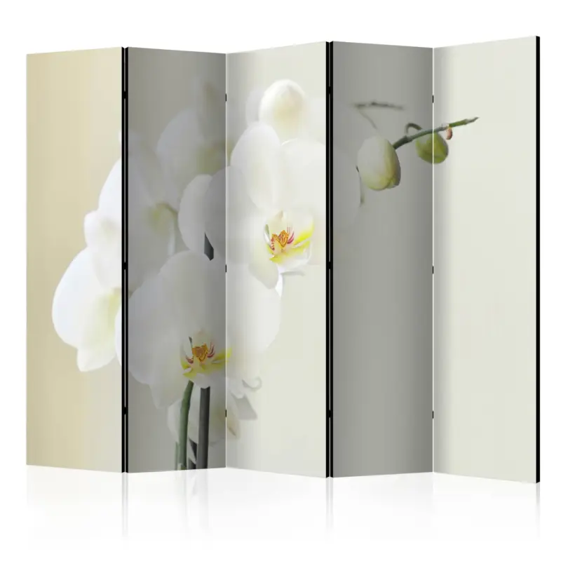 Prix Cassé Kamerscherm - White orchid II [Room Dividers] - 225x172