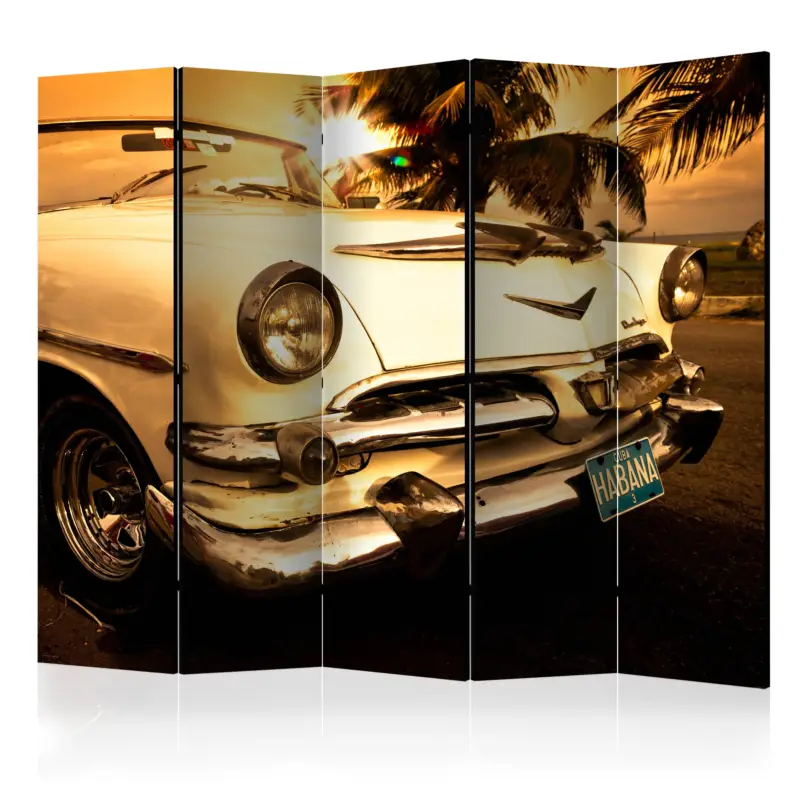 Marque Kamerscherm - Viva Havana! II [Room Dividers] - 225x172