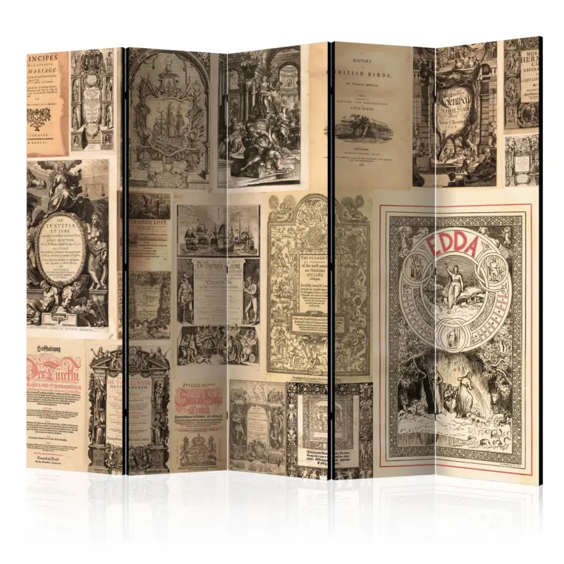 Kamerscherm - Vintage Books II [Room Dividers] - 225x172 Acheter En Ligne