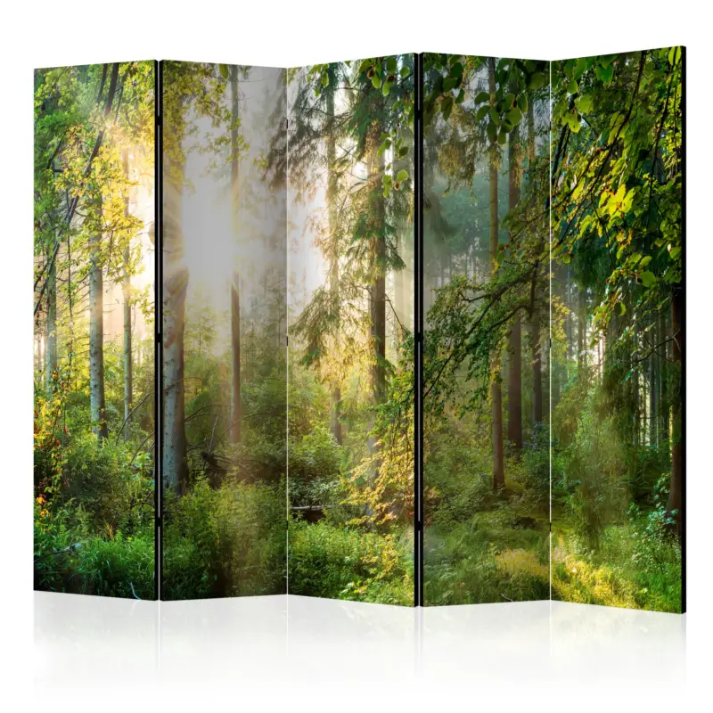 Prix Choc Kamerscherm - Untamed Nature II [Room Dividers] - 225x172