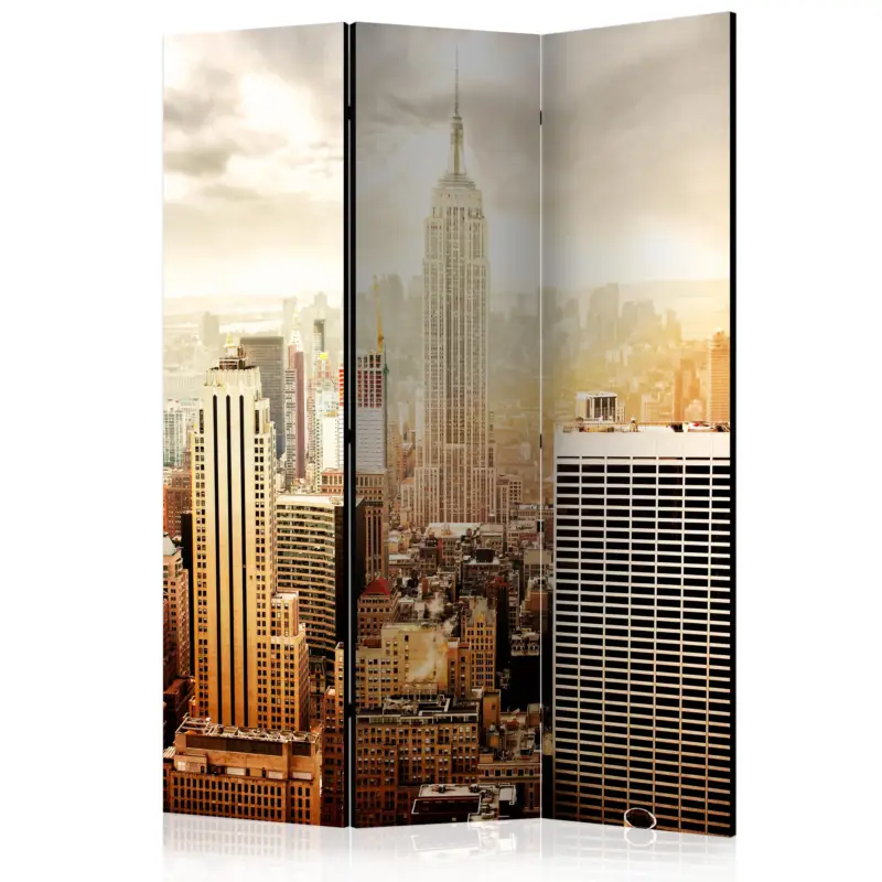 Meilleure Vente Kamerscherm - Uncombed by wind [Room Dividers] - 135x172