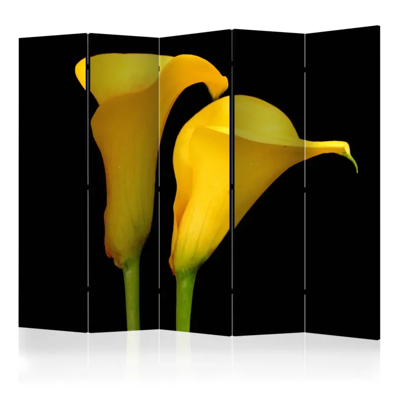 Nouveauté Kamerscherm - Two yellow calla flowers on a black background II [Room Dividers] - 225x172