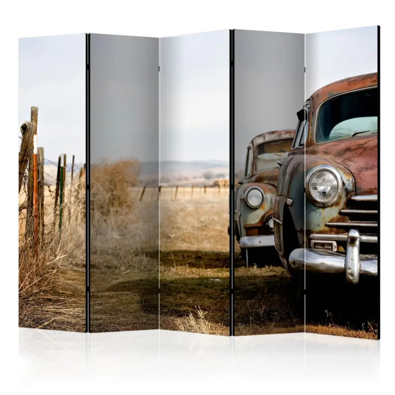 Remise Kamerscherm - Two old, American cars II [Room Dividers] - 225x172