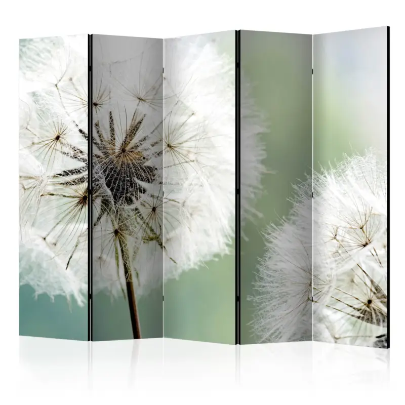 Offre Exclusive Kamerscherm - Two dandelions II [Room Dividers] - 225x172