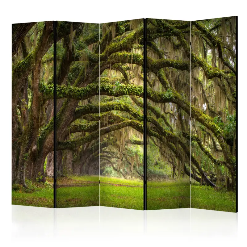 Kamerscherm - Tree embrace II [Room Dividers] - 225x172 Soldes