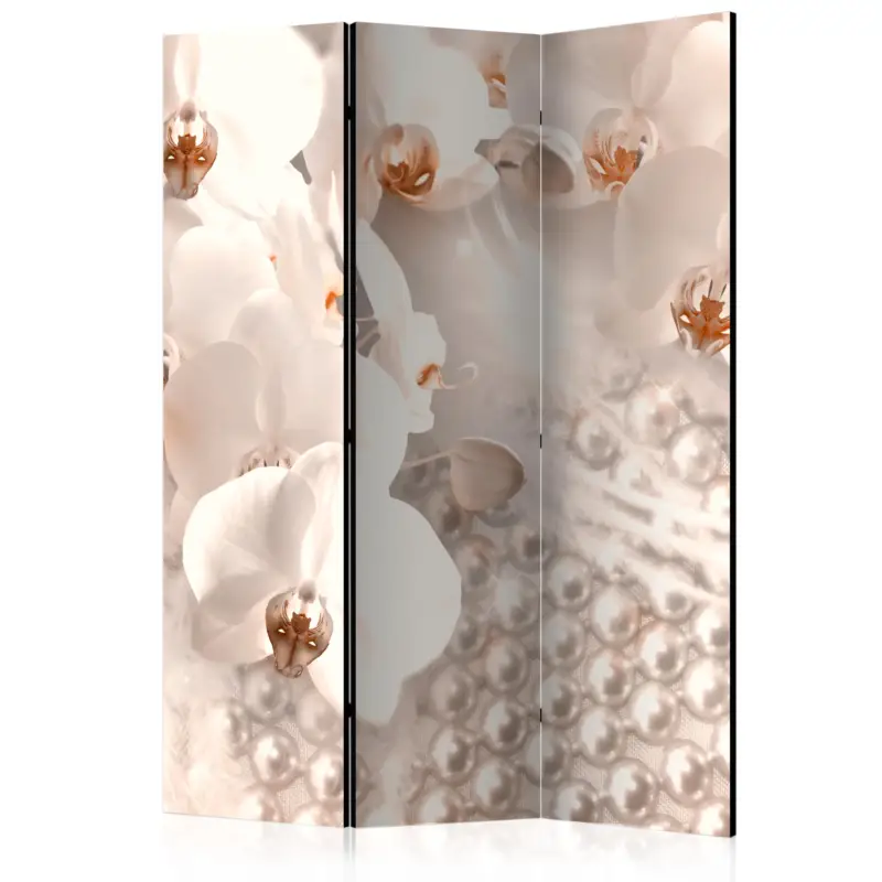 Expédié Aujourd’hui Kamerscherm - Treasures of Elegance [Room Dividers] - 135x172