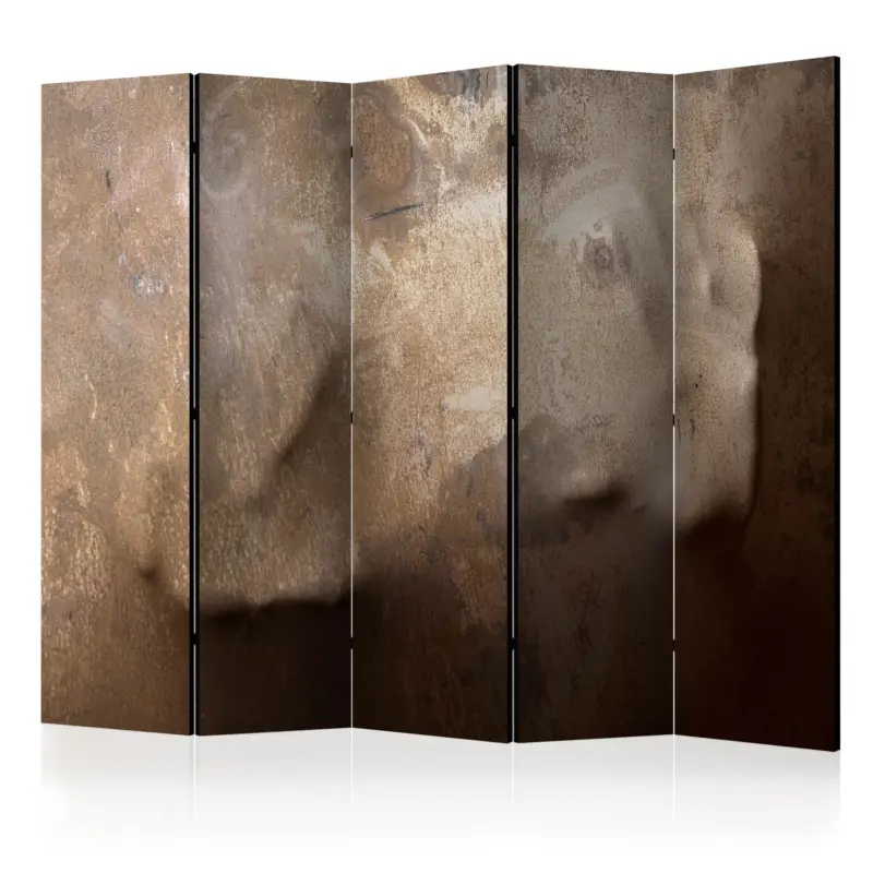 Kamerscherm - The warmth of your hand II [Room Dividers] - 225x172 Prix Bas