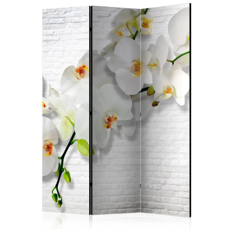 Kamerscherm - The Urban Orchid [Room Dividers] - 135x172 Quantité Limitée