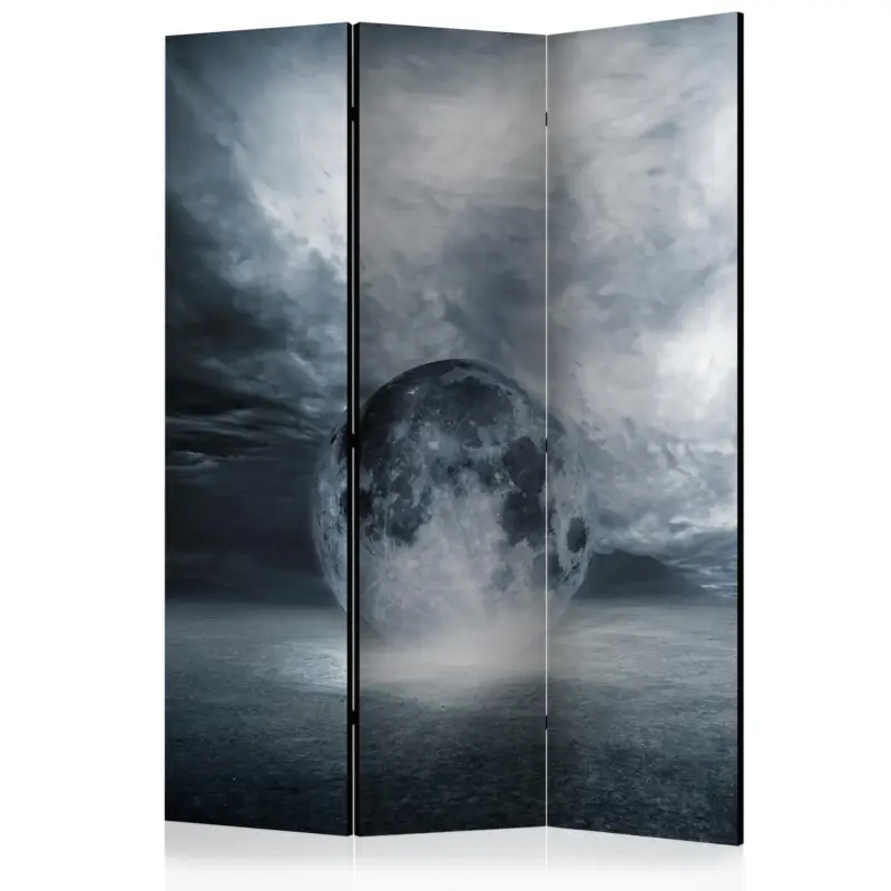 Kamerscherm - The lost planet [Room Dividers] - 135x172 Offre Limitée
