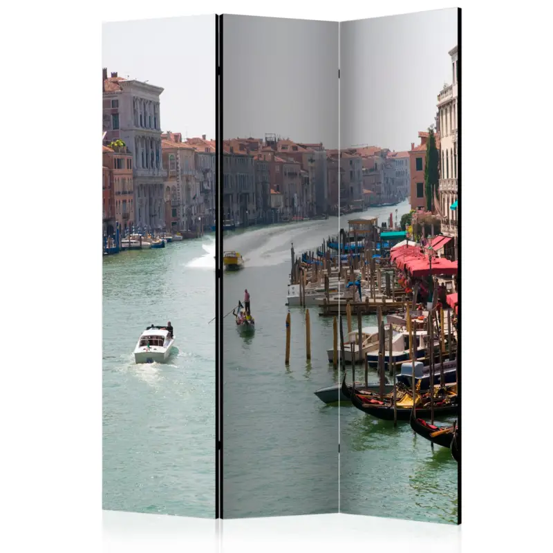 Acheter Direct Kamerscherm - The Grand Canal in Venice, Italy [Room Dividers] - 135x172