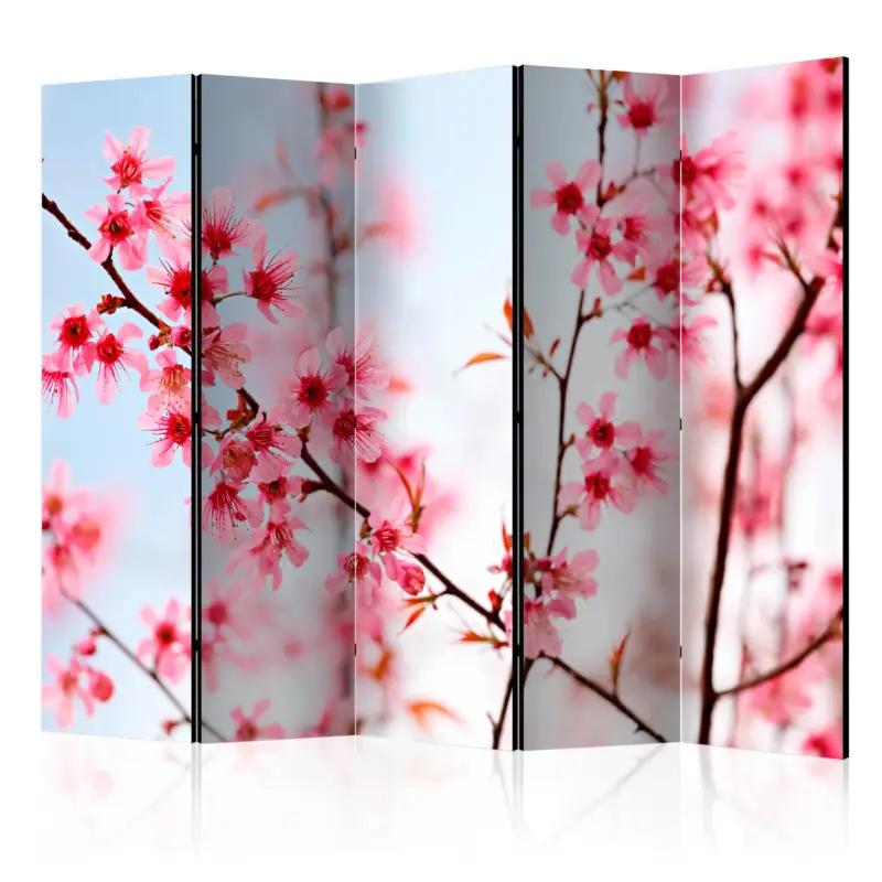 Bon Plan Kamerscherm - Symbol of Japan - sakura flowers II [Room Dividers] - 225x172