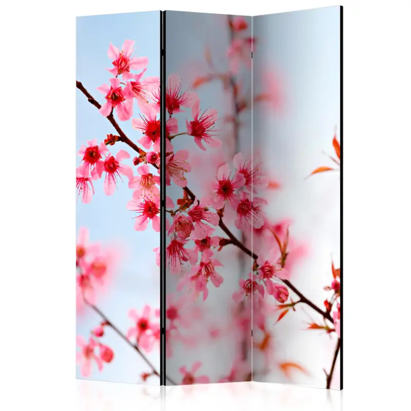 Dernier Modèle Kamerscherm - Symbol of Japan - sakura flowers [Room Dividers] - 135x172