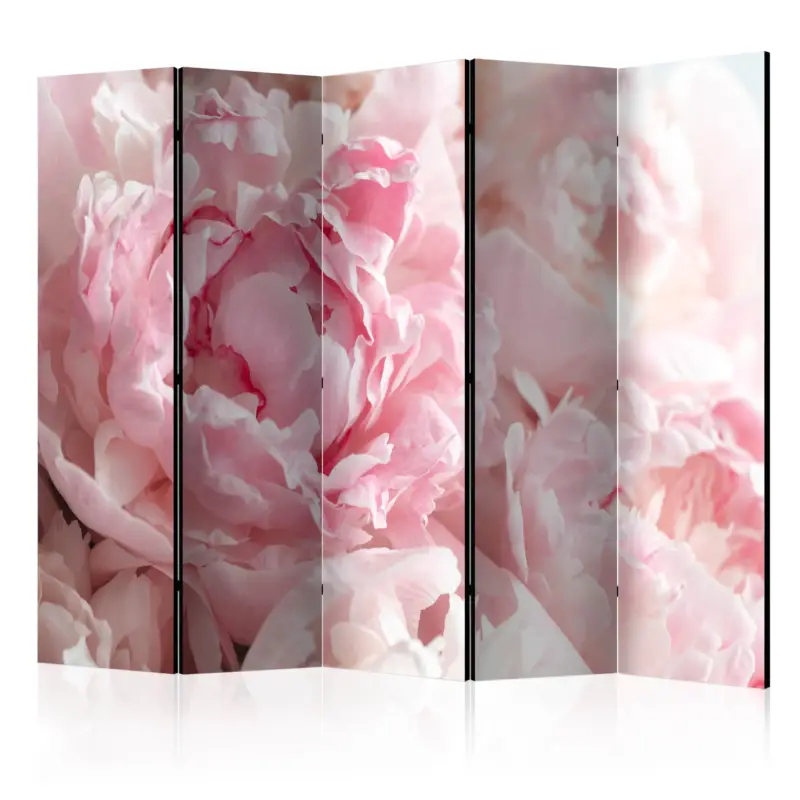 Bon Plan Kamerscherm - Sweet Peonies II [Room Dividers] - 225x172