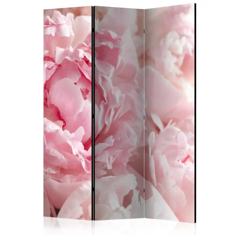 Kamerscherm - Sweet Peonies [Room Dividers] - 135x172 Super Prix
