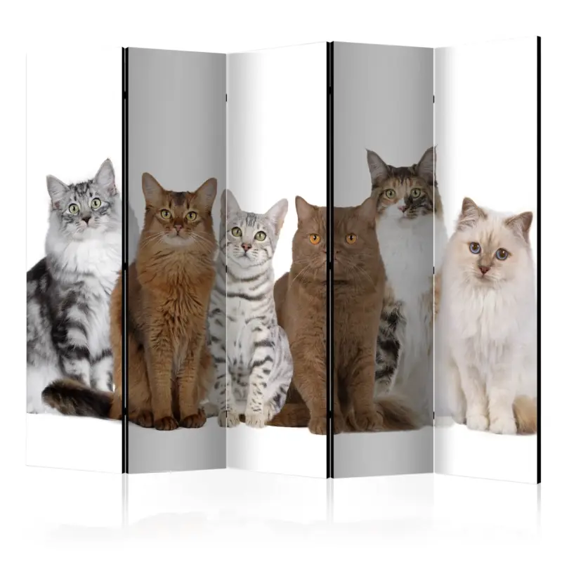 Kamerscherm - Sweet Cats II [Room Dividers] - 225x172 Top Vente