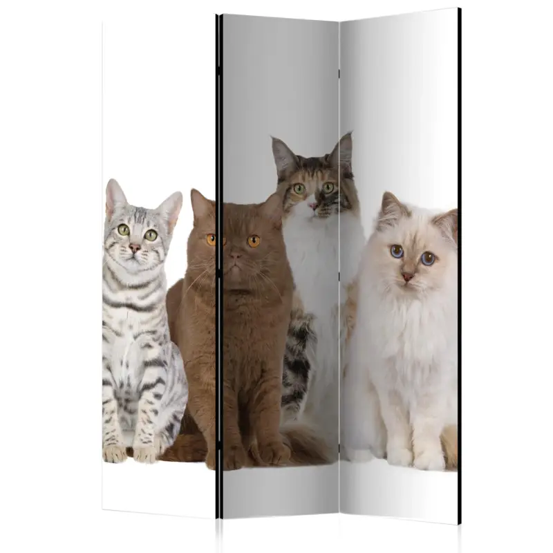Kamerscherm - Sweet Cats [Room Dividers] - 135x172 Nouveauté