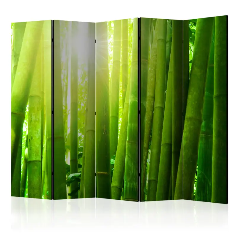 Achetez Aujourd’hui Kamerscherm - Sun and bamboo II [Room Dividers] - 225x172