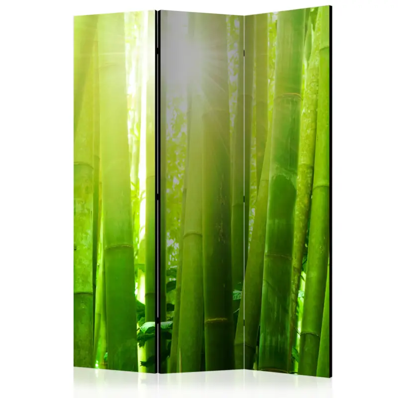 Kamerscherm - Sun and bamboo [Room Dividers] - 135x172 Vente Flash