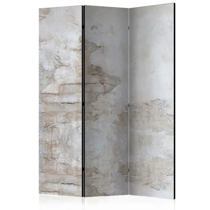 Livraison Gratuite Kamerscherm - Stony Story [Room Dividers] - 135x172