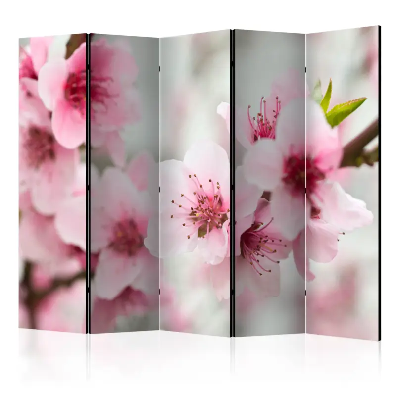 Vente Flash Kamerscherm - Spring, blooming tree - pink flowers II [Room Dividers] - 225x172