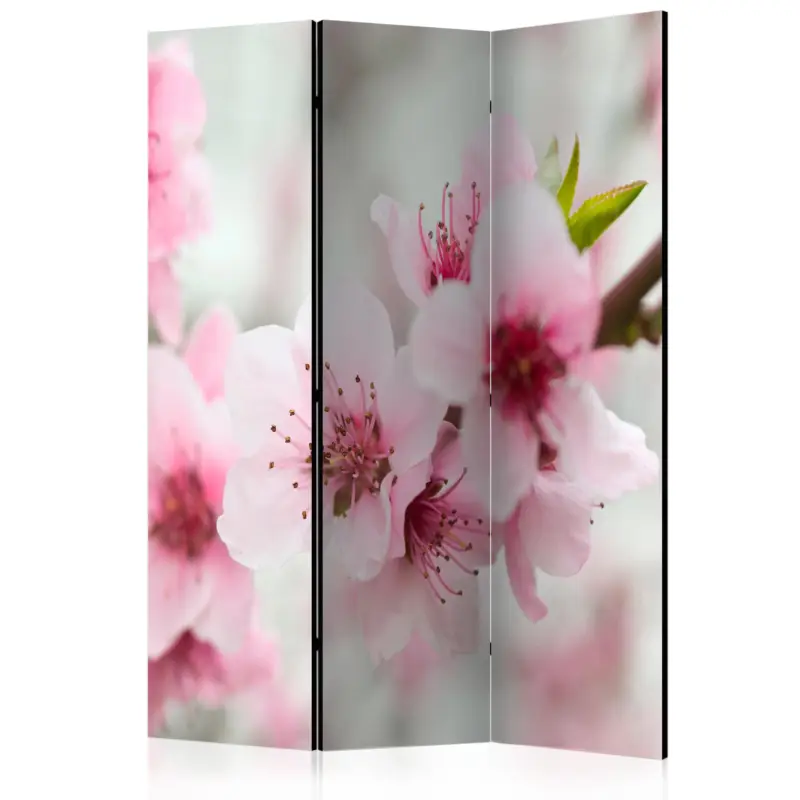 Kamerscherm - Spring, blooming tree - pink flowers [Room Dividers] - 135x172 Meilleure Vente
