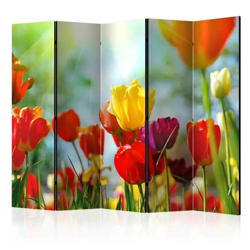 Affaire À Saisir Kamerscherm - Spring Tulips II [Room Dividers] - 225x172