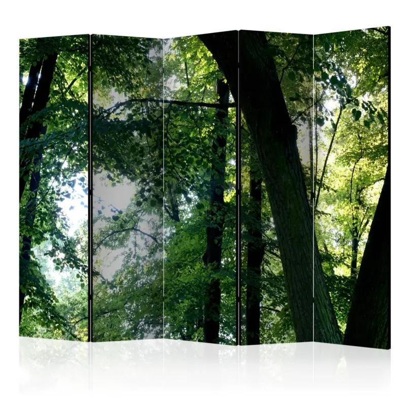 Prix Réduit Kamerscherm - Spring in the Park II [Room Dividers] - 225x172