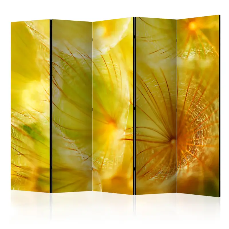 Kamerscherm - Soft dandelion flower II [Room Dividers] - 225x172 Solde