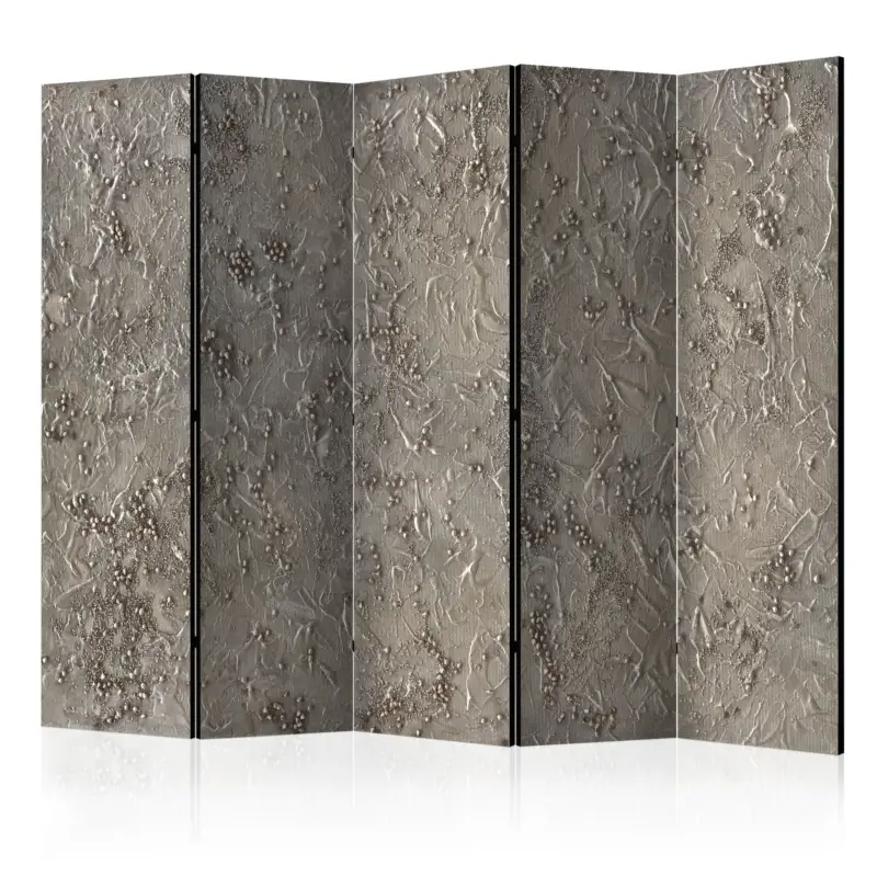 Soldes Kamerscherm - Silver Serenade II [Room Dividers] - 225x172