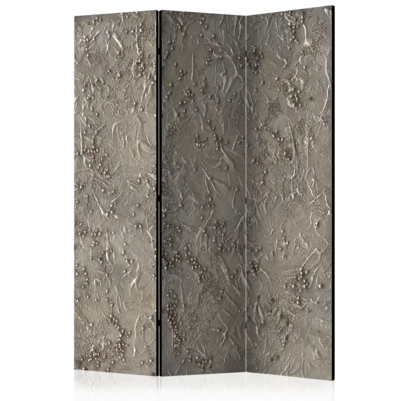 Vente Flash Kamerscherm - Silver Serenade [Room Dividers] - 135x172