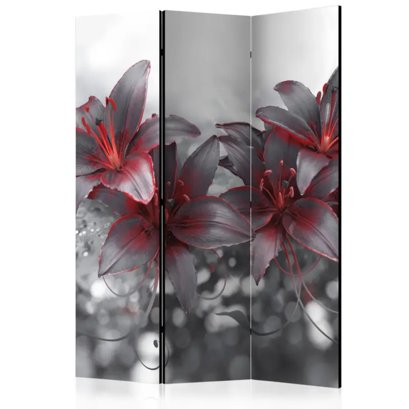 Kamerscherm - Shadow of Passion [Room Dividers] - 135x172 Prix Réduit
