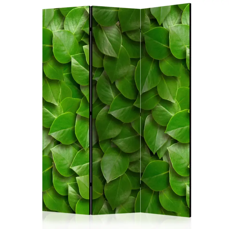 Kamerscherm - Secret Garden [Room Dividers] - 135x172 Livraison Gratuite