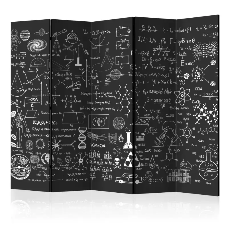 Achat Immédiat Kamerscherm - Science on Chalkboard II [Room Dividers] - 225x172
