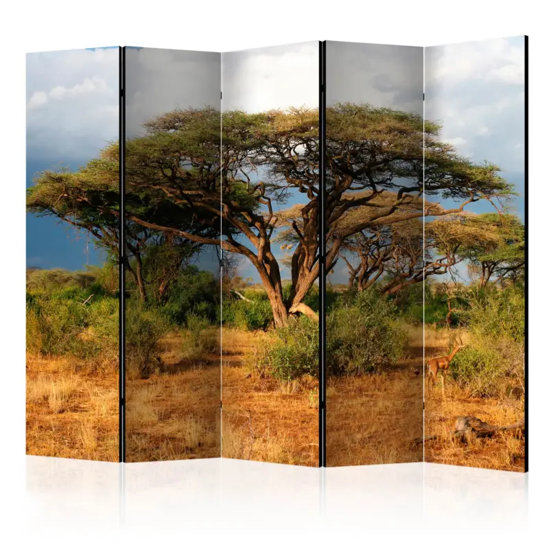 Kamerscherm - Samburu National Reserve, Kenya II [Room Dividers] - 225x172 Quantité Limitée