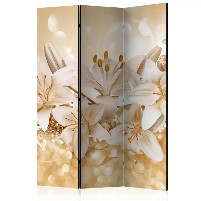 Vente Flash Kamerscherm - Royal Entourage [Room Dividers] - 135x172