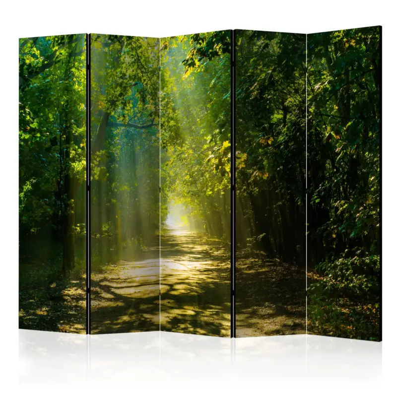 Kamerscherm - Road in Sunlight II [Room Dividers] - 225x172 Meilleur Prix